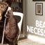 Back to Work – Survival Kit – Bear Necessities!