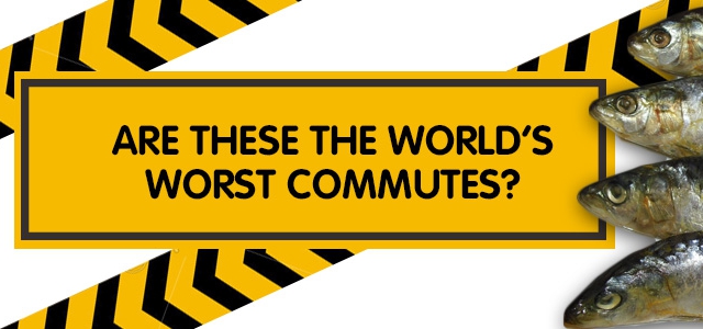 Are These The World’s Worst Commutes?