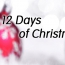 The 12 Days Of Christmas Office