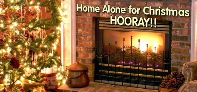 Home Alone For The Christmas Holiday (Hooray!)