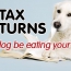 Not Filed Your Tax Return? It Could Cost You £100