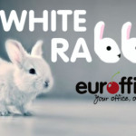 White Rabbits - Euroffice