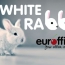 White Rabbits And Shredded Paper