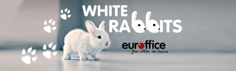 White Rabbits And Shredded Paper