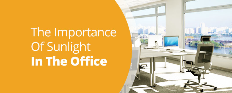 Importance of Daylight in the Office