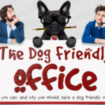Making your Office Dog-Friendly