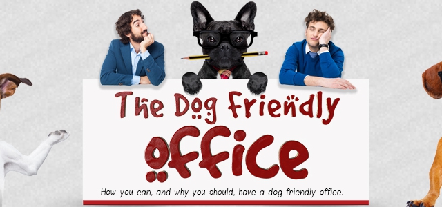 Making your Office Dog-Friendly