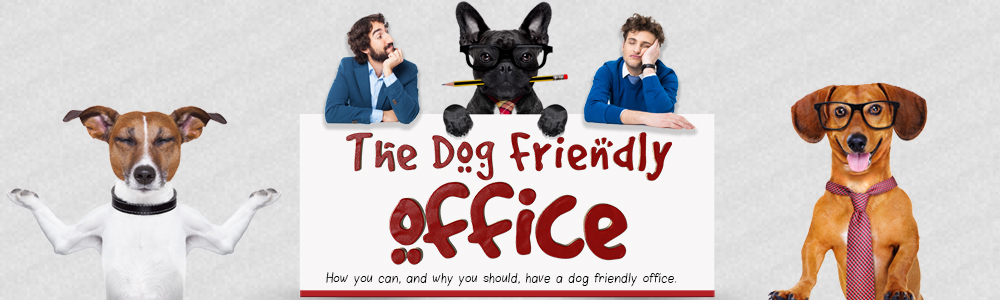 Making your Office Dog-Friendly