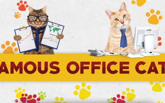 Famous office cats