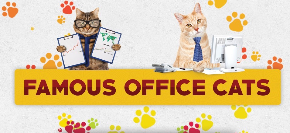 Famous office cats