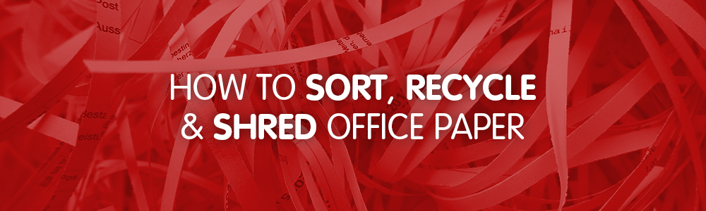 How to sort your office paper: workplace recycling & shredding tips